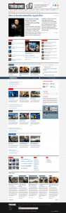 Tribune wordpress theme 