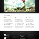 premium-wordpress-theme
