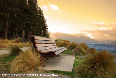 Bench on Landscape