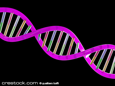 rendering of dna helix